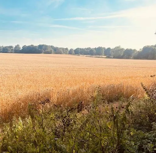 Secret Paddock Secluded Suffolk Getaway