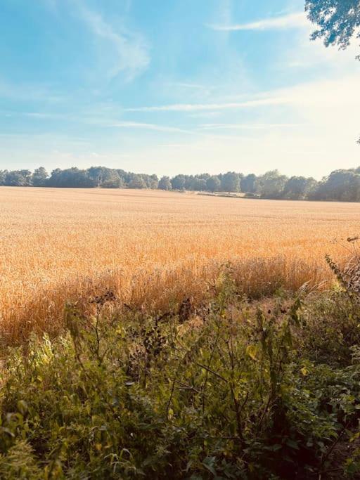 Apartment Secret Paddock Secluded Suffolk Getaway Hollesley